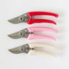 red pink and cream secateurs on white background