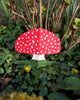 red mushroom card
