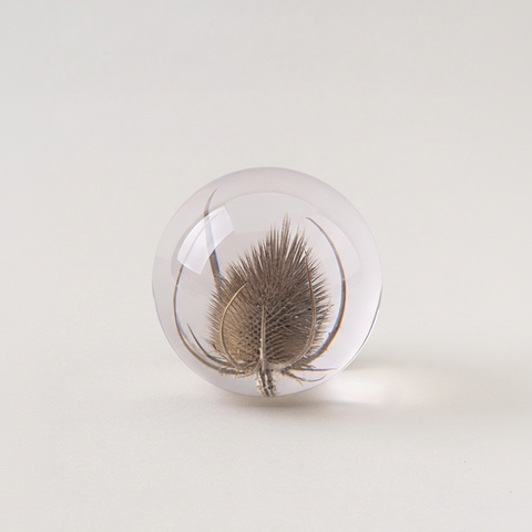 paperweight | teasel | large