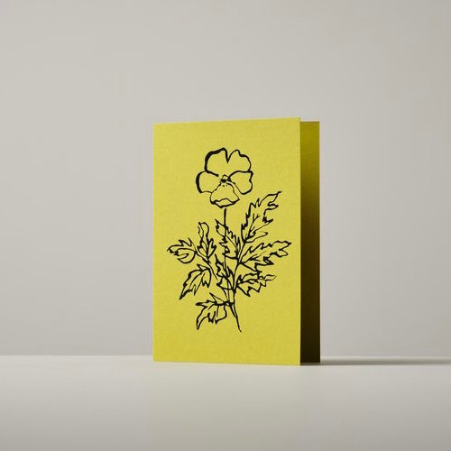 atelier auge card | silverweed