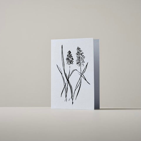 atelier auge card | grape hyacinth