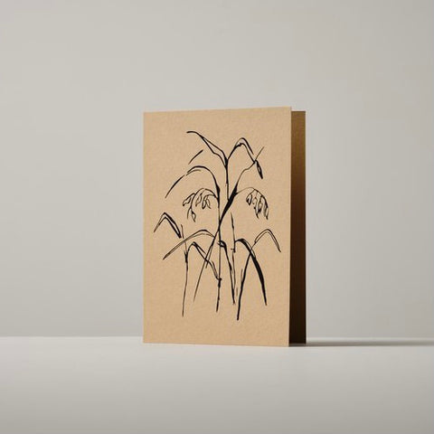 atelier auge card | bunny tail grass