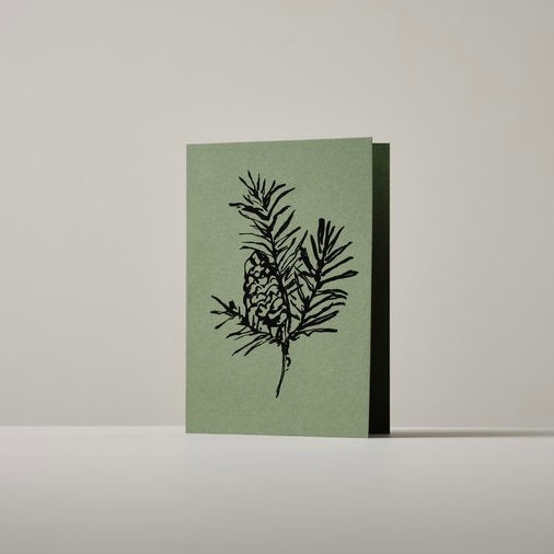 atelier auge card | balsam fir