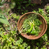 french willow basket | medium