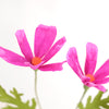 the green vase | cosmos paper flower stem