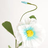 the green vase | himalayan poppy paper flower stem