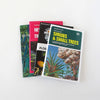 new zealand shrubs & small trees