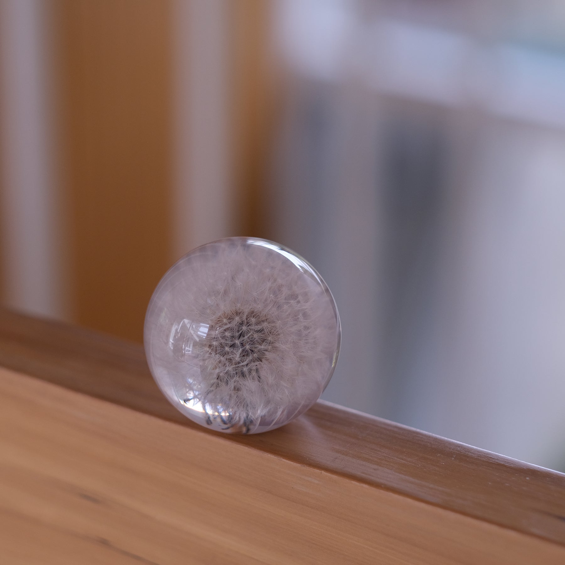 Dandelion Paperweight - Take Heart Shop - View #2
