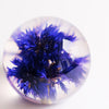 paperweight | cornflower | small