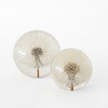 paperweight | dandelion | large