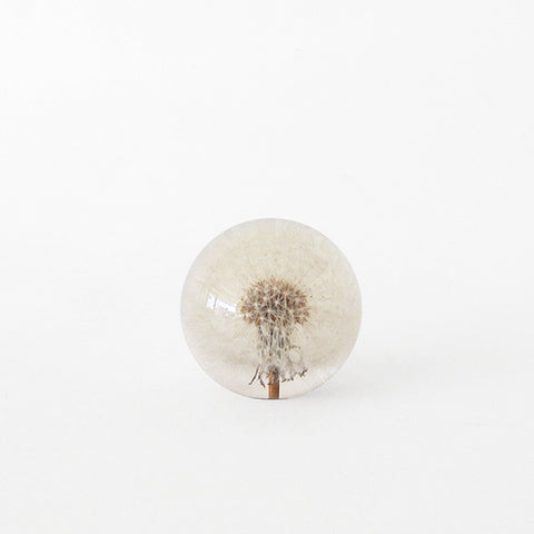 paperweight | dandelion | small