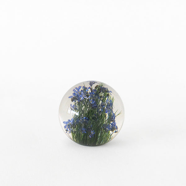 paperweight | forget me not | small