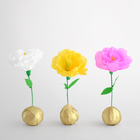 flower bulb surprise ball